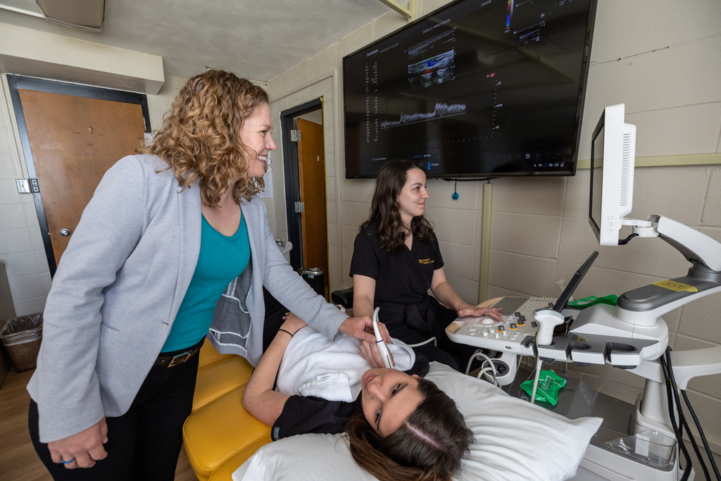 Clinical and Diagnostic Sciences (Diagnostic Medical Ultrasound