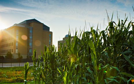 Agricultural Systems Management // Majors at Mizzou ...